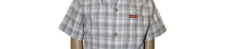 Рубашка с коротким рукавом в серо-белую среднюю клетку с синей полосой
