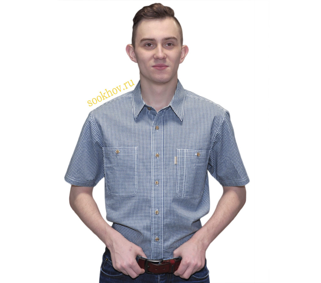 Рубашка мужская в мелкую синюю клетку. Модель с коротким рукавом